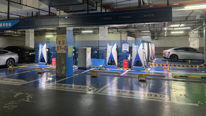 本文图片均为上观新闻 图