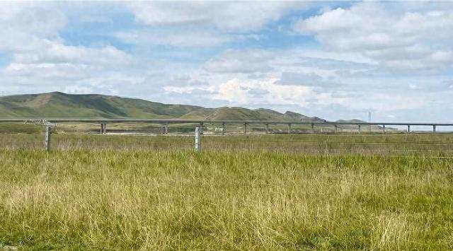 9月4日，甘肃省甘南藏族自治州玛曲县欧拉镇欧强村，黄河沿岸的草原植被 中青报·中青网记者焦敏龙/摄