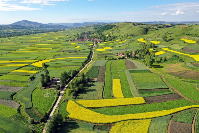 航拍夏日的渭源乡间。新华社记者 郭刚 摄