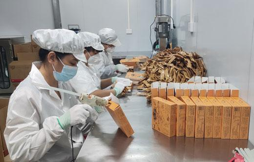 东兴市溢汇食品有限公司生产车间，工人们正熟练地操作机器完成速溶咖啡的加工、分装。陈丹蕾/摄