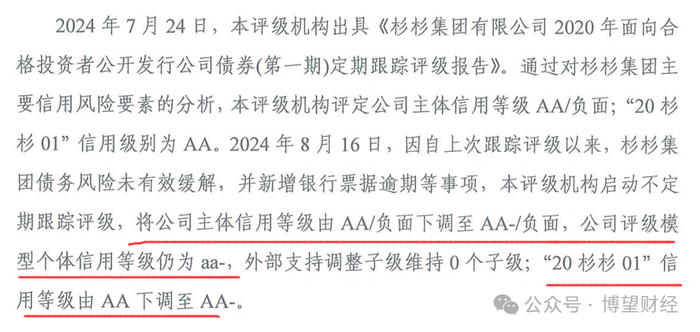 来源：新世纪评级报告