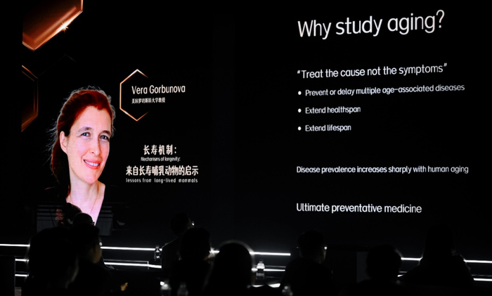 美国罗切斯特大学教授、罗切斯特衰老研究中心联合主任Vera Gorbunova