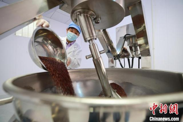 9月12日，在河北省内丘县一家食品企业车间内，员工正在炒制酸枣仁。刘继东 摄