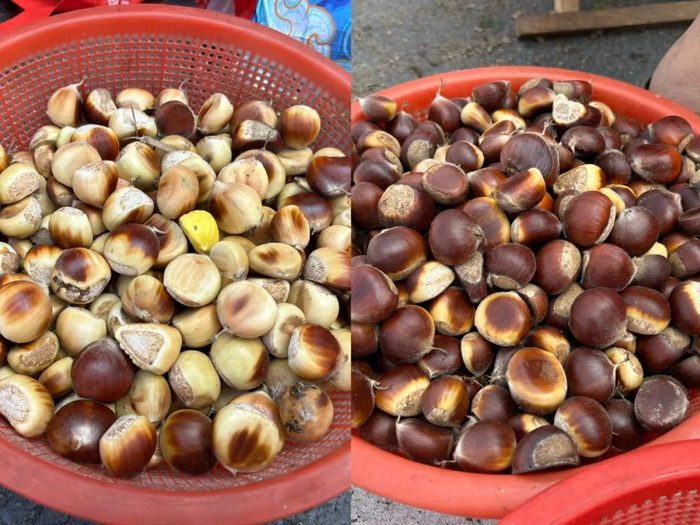 左边淡黄色的是嫩果，右边是老的