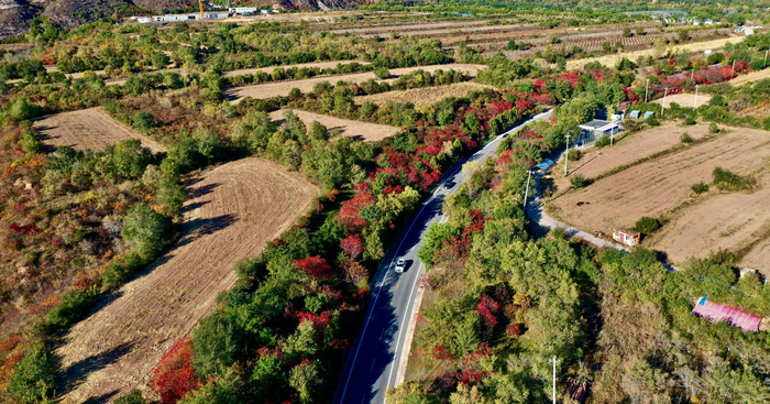 香龙路。北京市交通委延庆公路分局供图