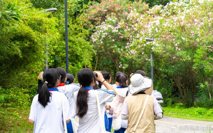 半天校外课、半天阅读课,单双周轮流!深圳这些学校试点每周半天计划|深圳市|义务教育|教育局|深圳市教育局|广东省_新浪新闻