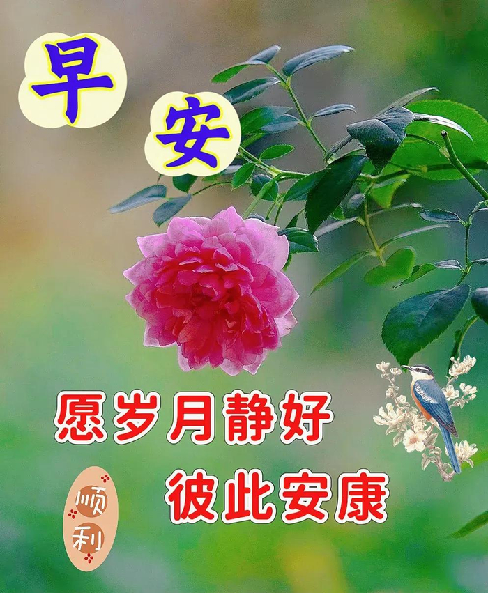 2024年9月19日最新早上好祝福语图片大全 精选早安问候祝福图片带字