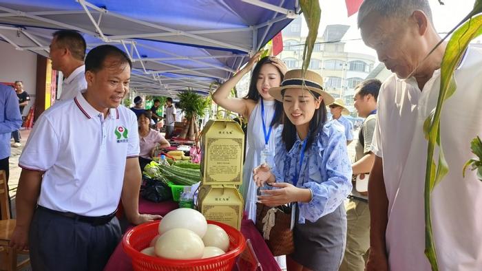 横州市石塘镇第一届鲜食玉米节开幕