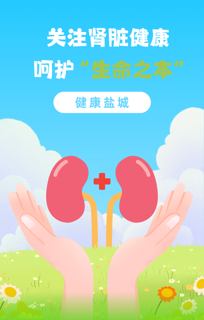 关注肾脏健康