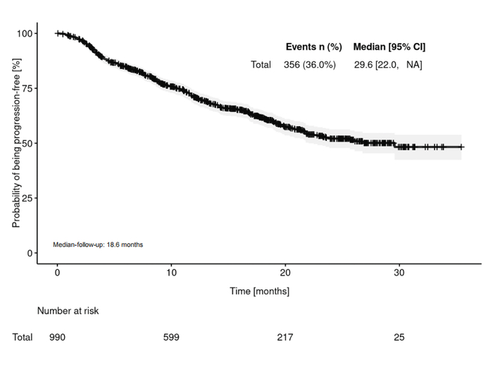 图2. PERFORM研究中总人群估计的中位rwPFS结果