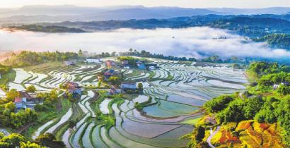 泸州乡村美景。 陈颖 摄