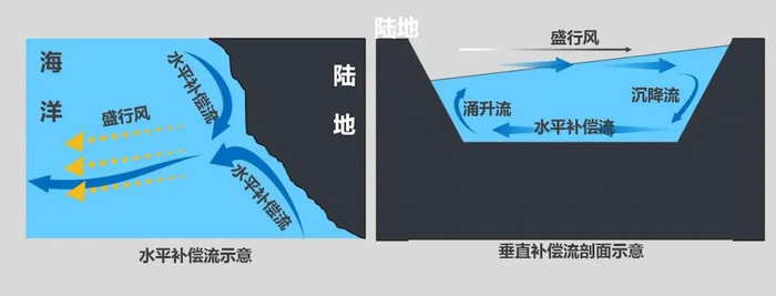 【水文地理】高考地理中的地下水,补偿流的判读!|海水|含水层|气候|水位|渔场_新浪新闻