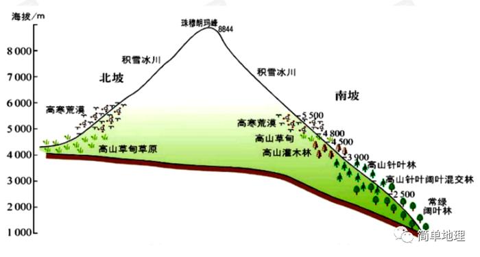 29种植被类型,重点自然带