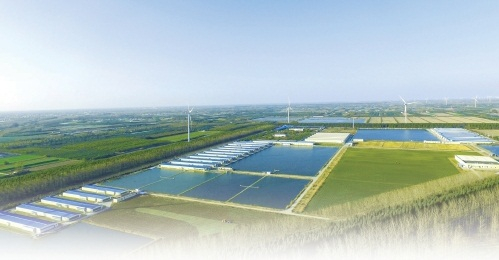 　　海安市生态牧场全景图