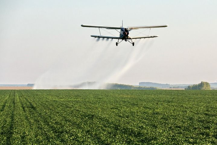  在北大荒集团黑龙江五大连池农场有限公司大豆地块，农用飞机在进行“一喷多促”作业（2024年8月20日摄）。新华社发（陆文祥摄）
