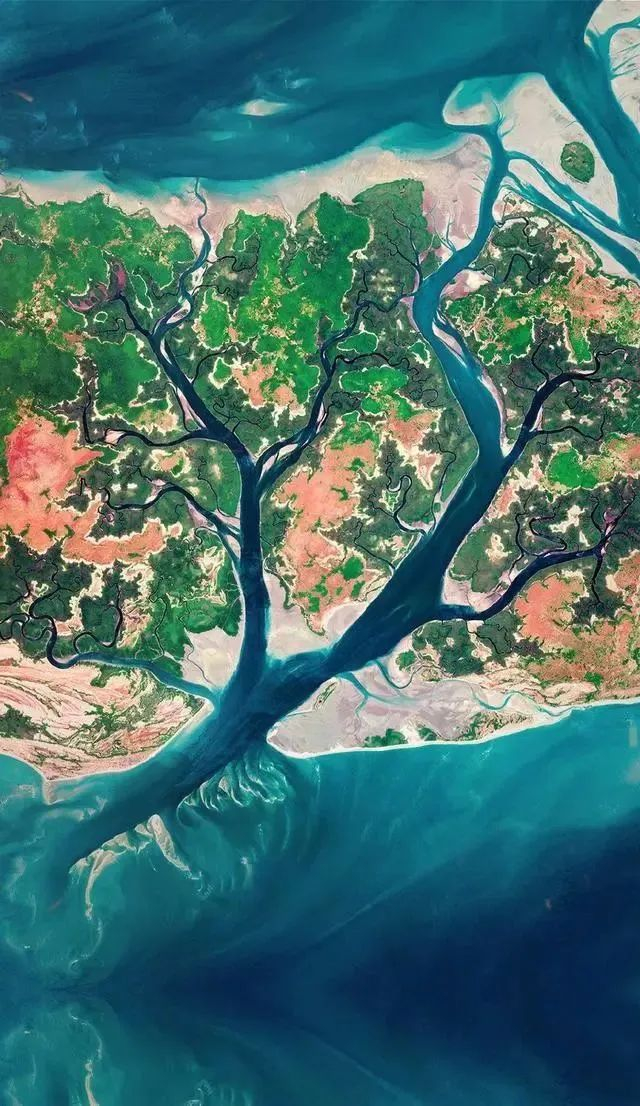 【地理拓展】高考地理中的河口三角洲,洋流分布!