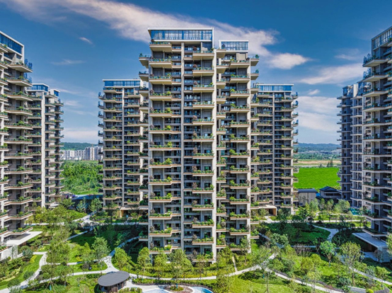 成都-滨江郦城项目实景图：创新产品-第四代建筑