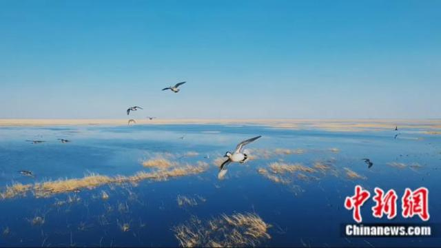 梅里斯哈拉海湿地。梅里斯区委宣传部、梅里斯区融媒体中心供图