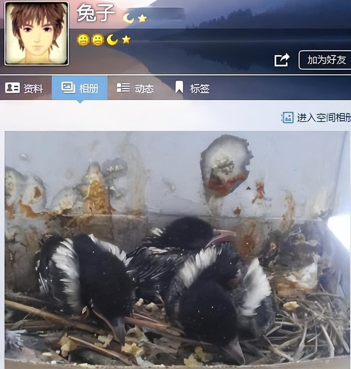 当年那个因掏鸟窝获10年半大刑的大学生,现如今怎么样了?