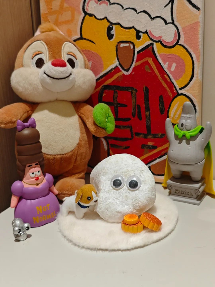 叶子的“宠物石”大雪团子