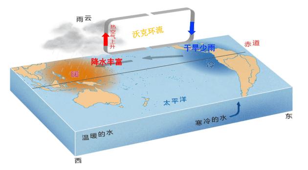 拉尼娜大气环流图片