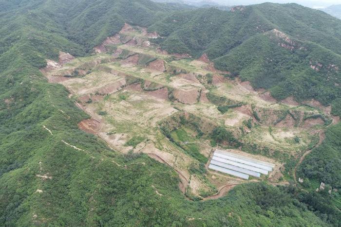 最准一肖一码一一香港澳王一王,“三北”工程重点县河北平山破坏318.65亩林地、草地被曝光