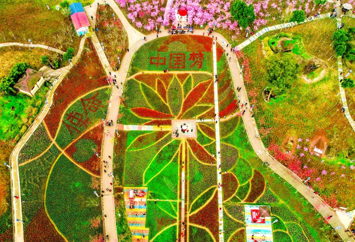 牡丹樱花世界景区 龚长浩 摄 