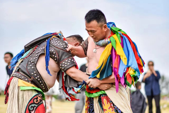 博克手青格勒图与对手激烈的较量（右一）。木兰草原供图