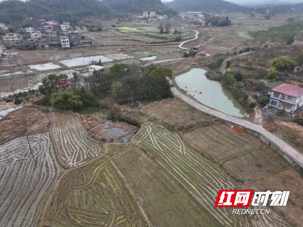 东安县芦洪市镇:大力开展禁种铲毒踏查 坚守毒品原植物零产出底线