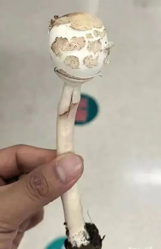 图源/都市快报