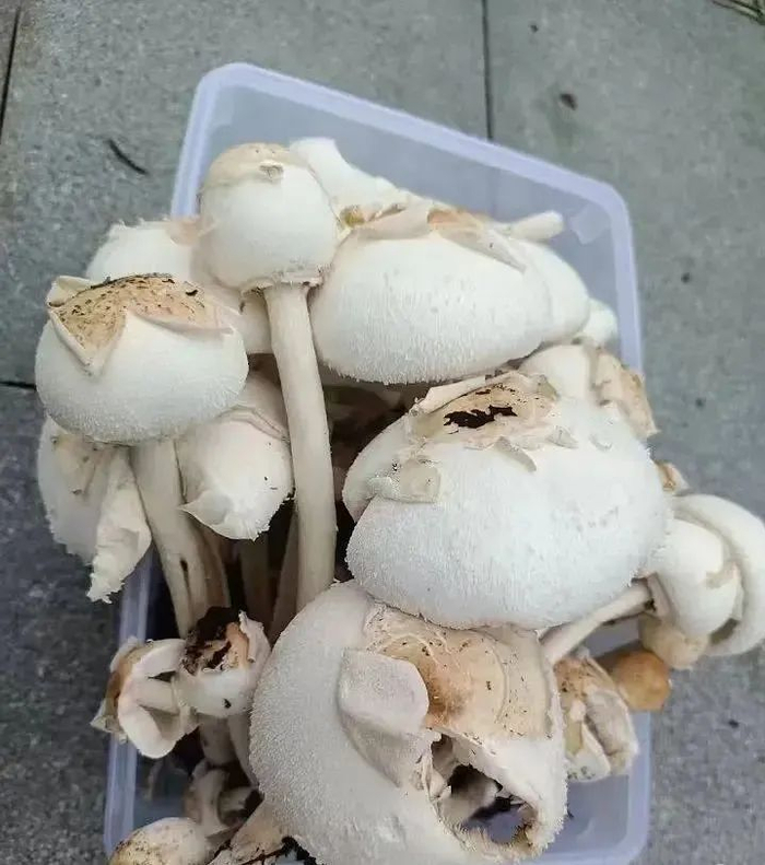 图源/都市快报