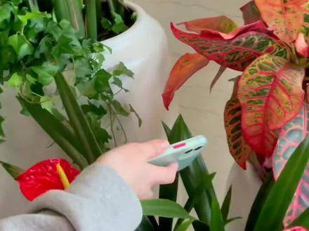 怎么用手机看摄像头_用手机看摄像头需要流量吗_摄像头监控手机上看