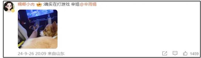 秦霄贤风波升级！大粉回踩曝其出轨卖人设，前女友呼吁郭德纲管管-秦霄贤?