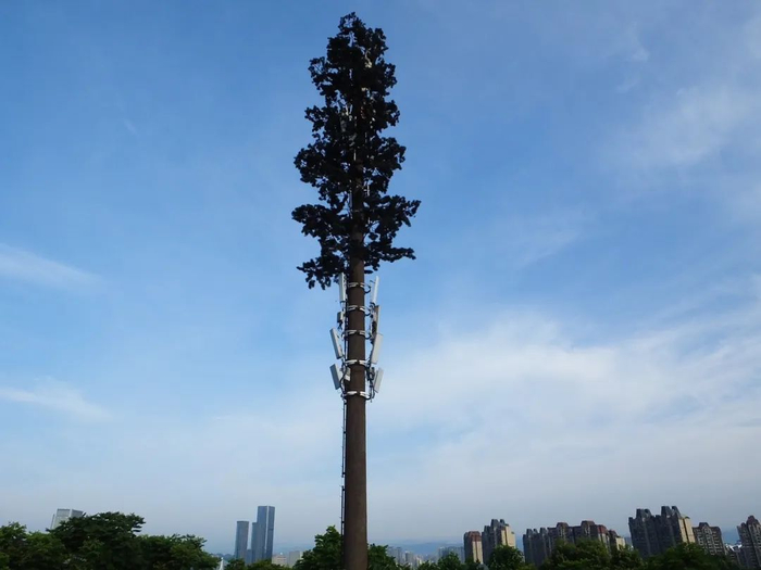 图库版权图片，转载使用可能引发版权纠纷