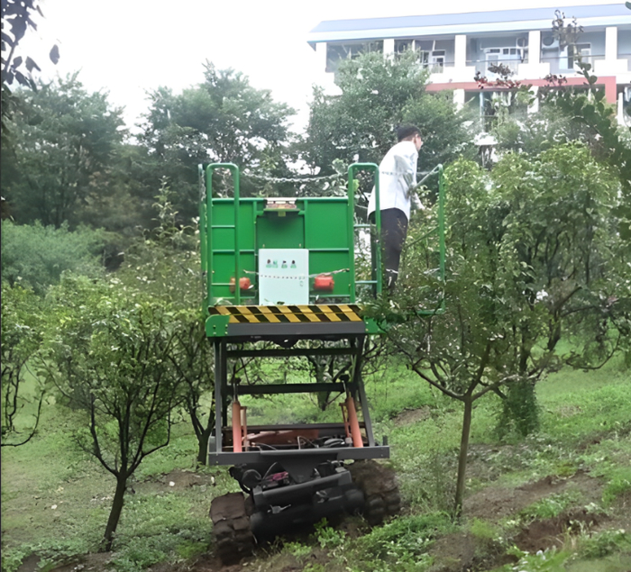 苹果采摘平台。受访者供图