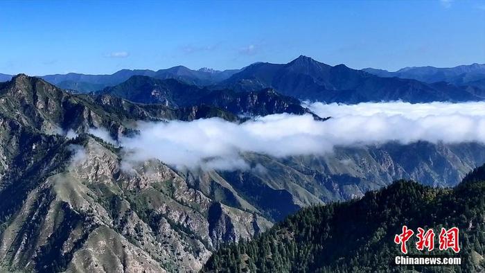 秋至高原 青海互助北山国家森林公园现绚丽秋景