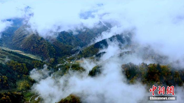 秋至高原 青海互助北山国家森林公园现绚丽秋景