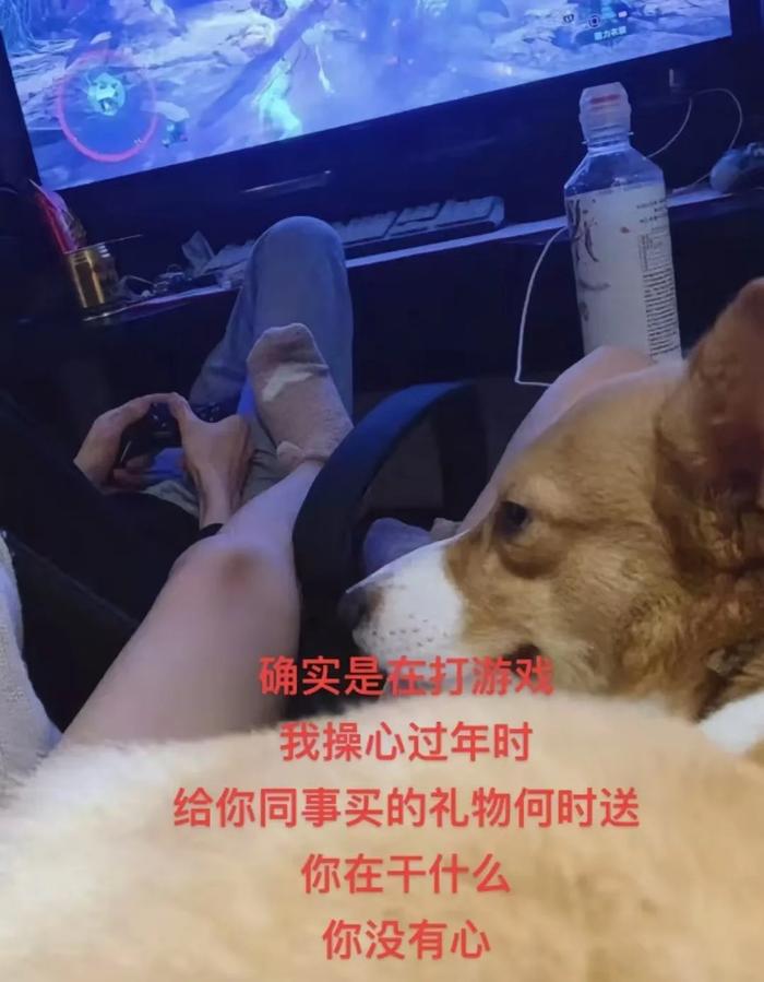 秦霄贤风波升级！大粉回踩曝其出轨卖人设，前女友呼吁郭德纲管管-秦霄贤?