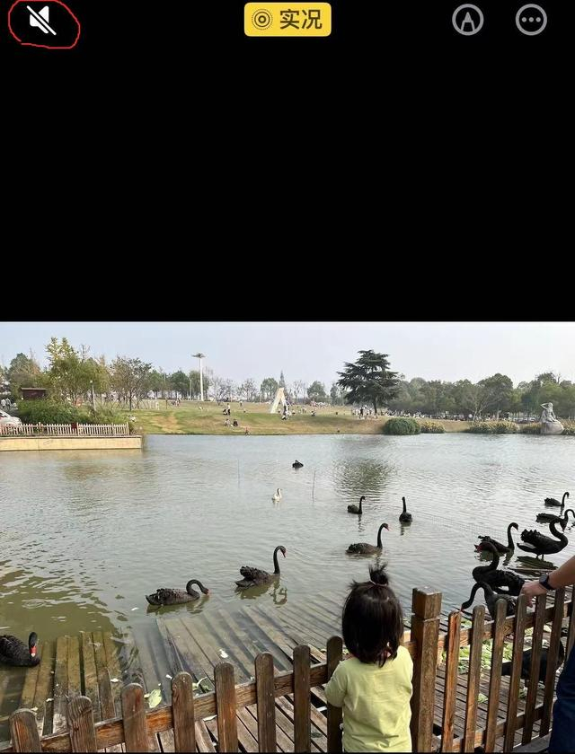 △图源/苹果相册