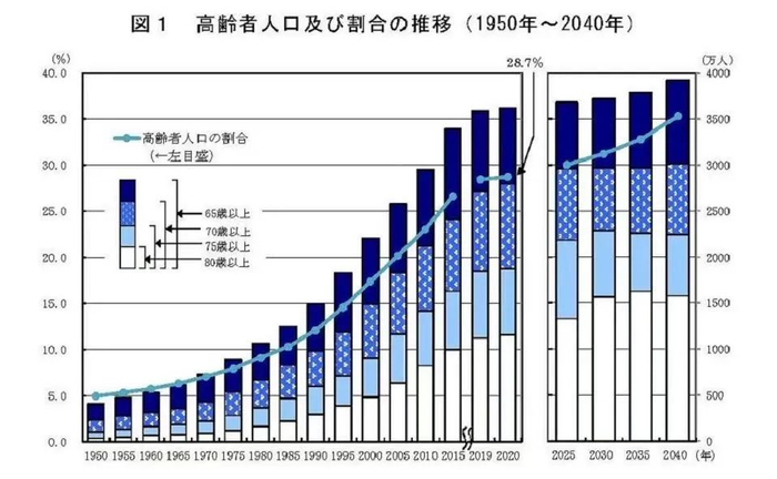 ▲日本老年人口走势