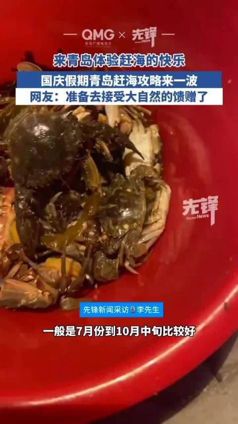 阿梅赶海图片