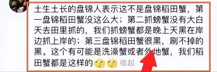 老蒯的真实身份曝光！商业版图惊人，难怪东北雨姐这么硬气|网红|粉丝|螃蟹|粉条|红薯_新浪娱乐_新浪新闻