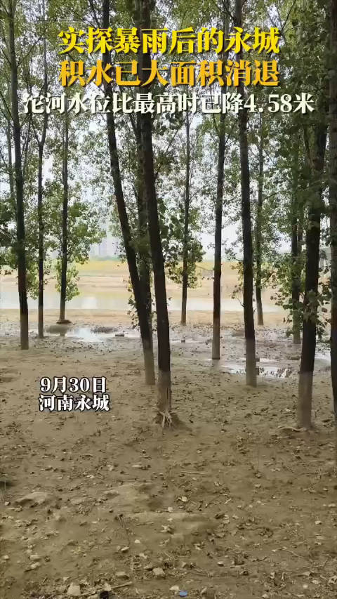 实探暴雨后的永城!