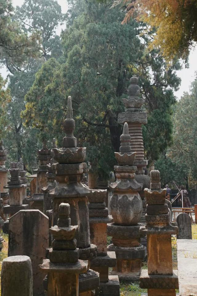 灵岩寺里的墓塔林，是《黑神话·悟空》的一处取景地。/澎湃新闻记者 王珏玮 图