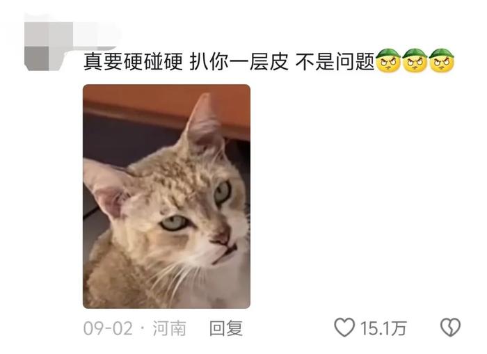 发情母猫连嚎3天,结果喊来只无敌丑公猫…母猫一脸绝望:我还不如绝育!