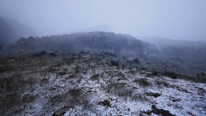 门头沟区清水镇江水河村今日出现降雪。江水河村第一书记鲁琪供图