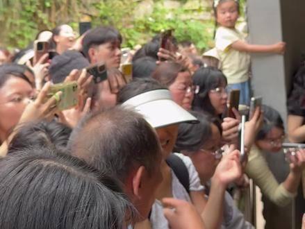 大声古山哥图片