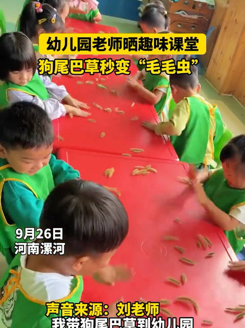 幼儿园老师晒趣味课堂,狗尾巴草秘变 "毛毛虫"