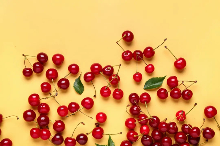 图库版权图片，转载使用可能引发版权纠纷