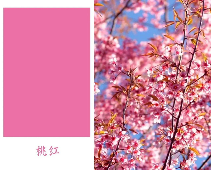 你几月出生,就是哪种中国色,美到极致!|颜色|气质|生活|色彩|内心_新浪新闻